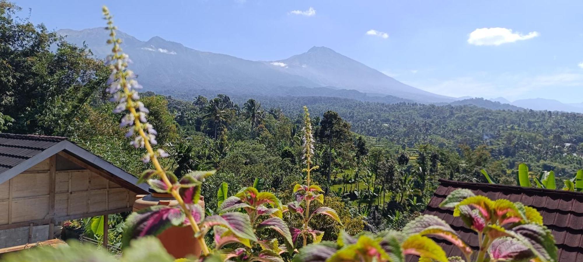 Tetebatu Terrace Homestay Exteriör bild