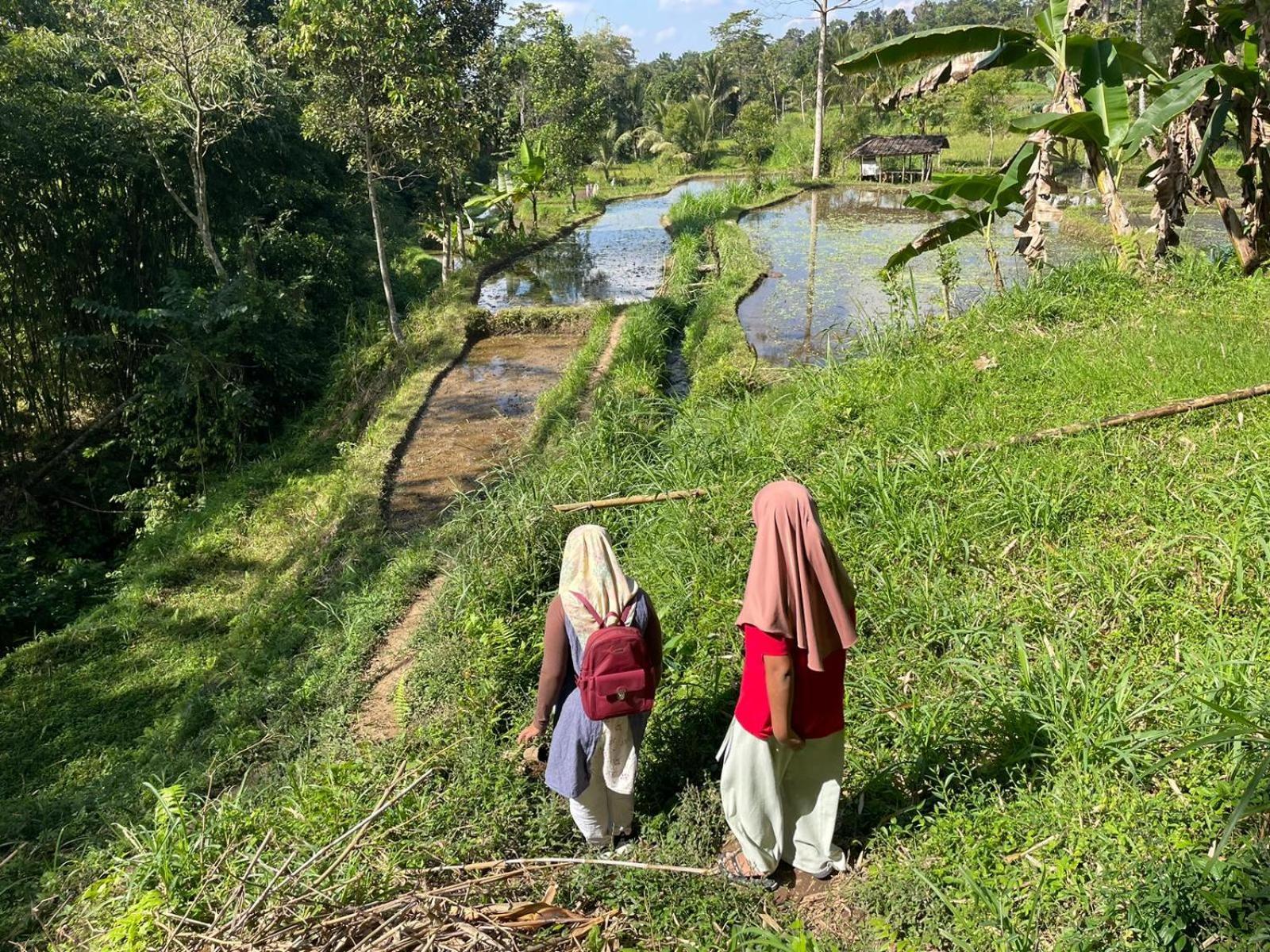 Tetebatu Terrace Homestay Exteriör bild